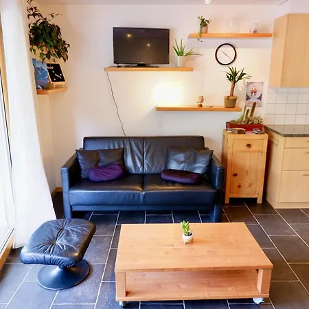 Haus Judith - Bonita Appartement-fewo 2-zimmerwohnung By Interhome * Saas-Fee
