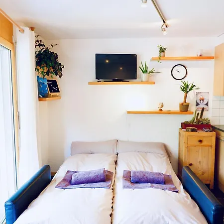 Apartment Haus Judith - Bonita Appartement-fewo 2-zimmerwohnung By Interhome Saas-Fee